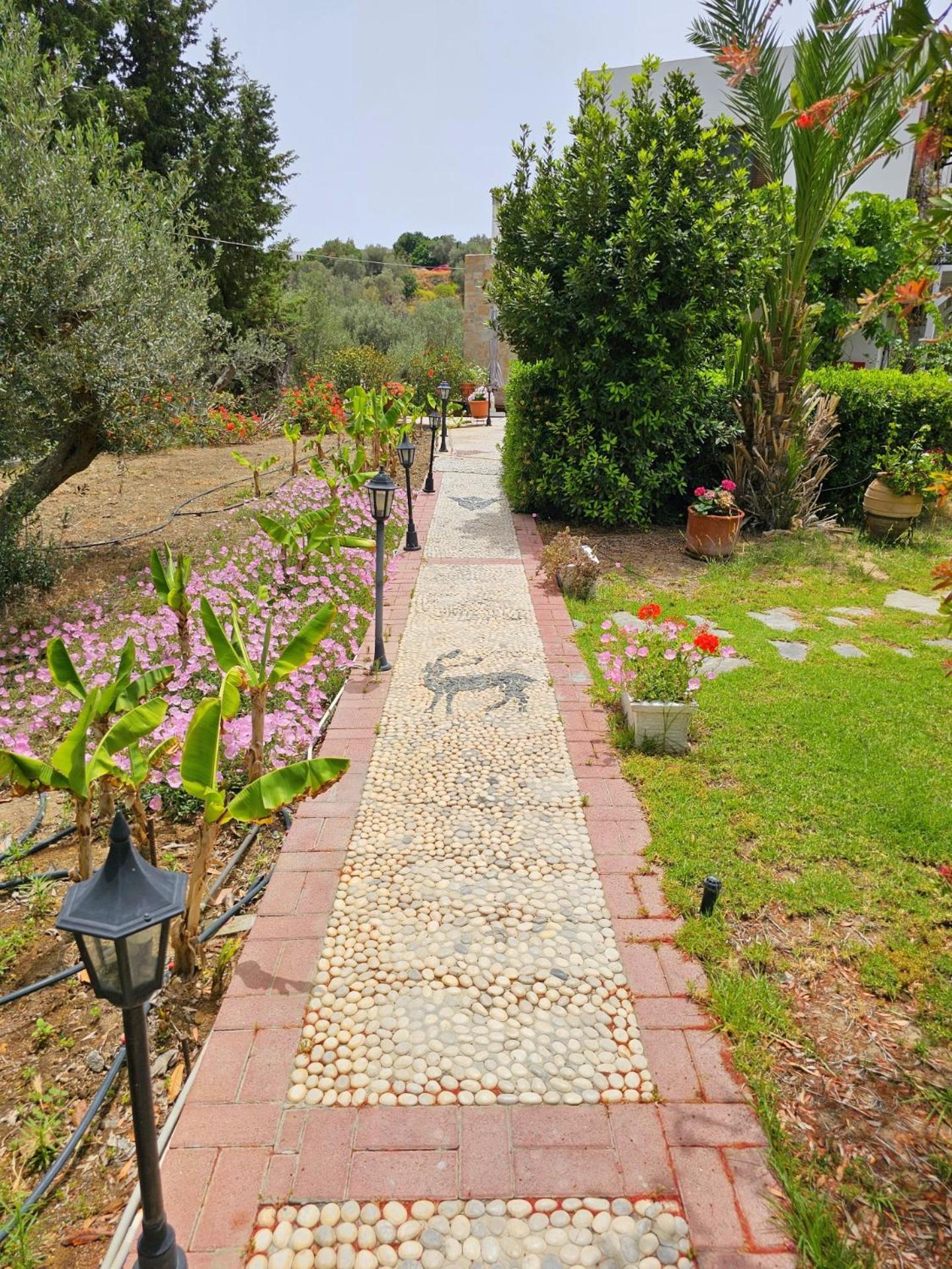 Apartment Galini View