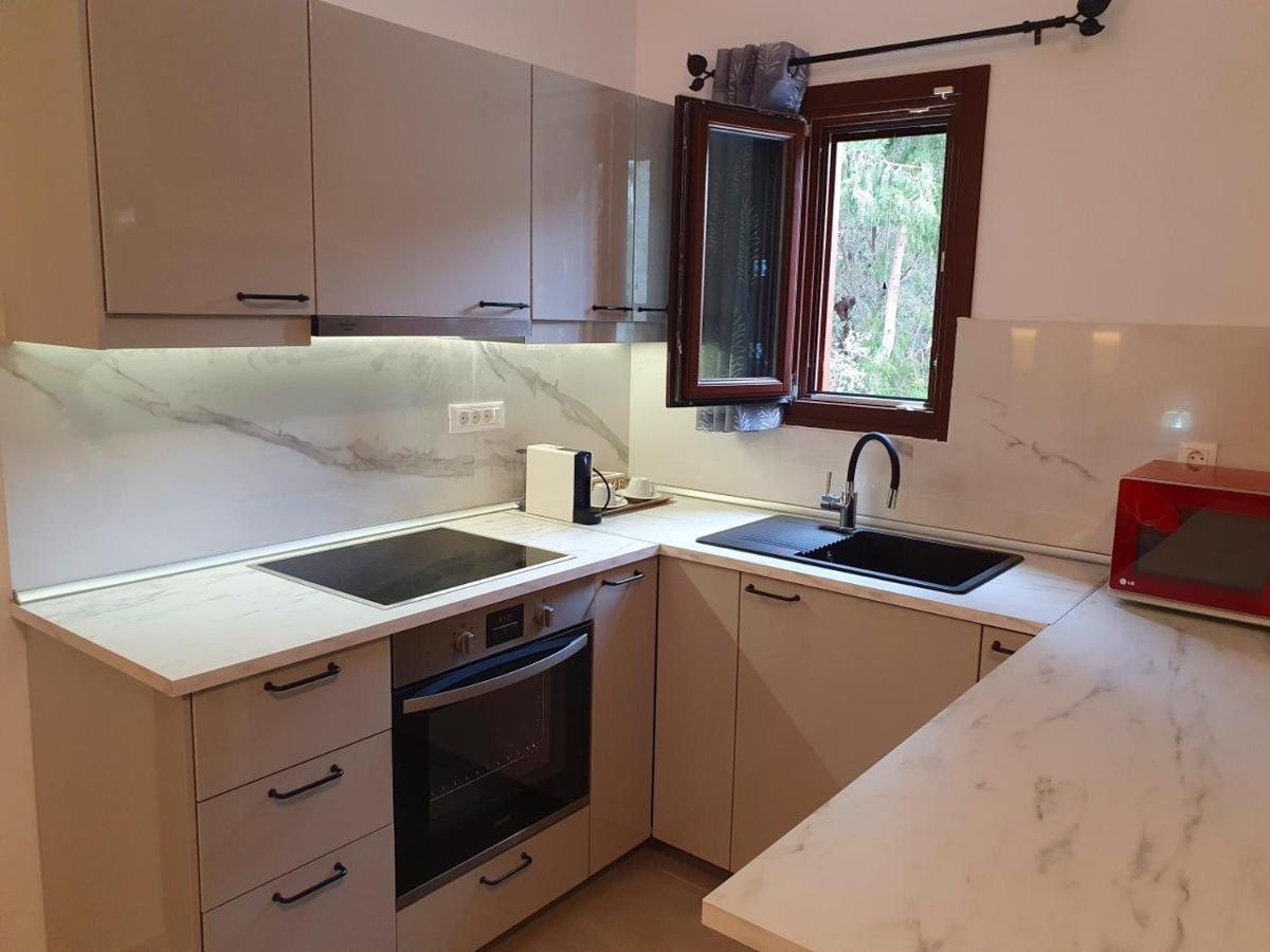 Galini View Apartmán Líndos